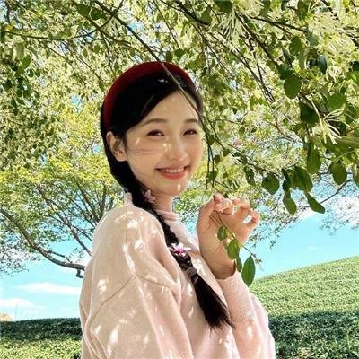 客厅里的大象